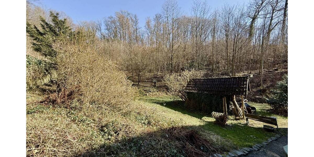Mehrfamilienhaus, Wohnhaus Lindenfels / Winkel Winkel - 6 Zimmer, 147 m&sup2;, 199.500&euro; | Angebot:26205735