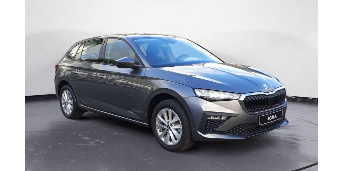 Skoda Scala 4.000 km 27.690 &euro; Bad König / Zell 64732