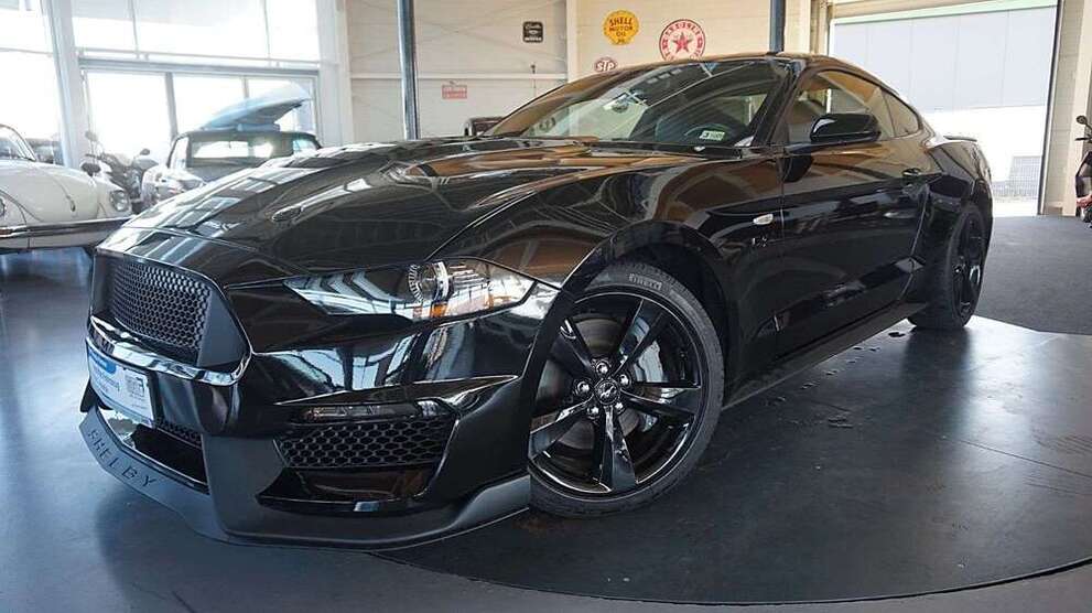 Mustang