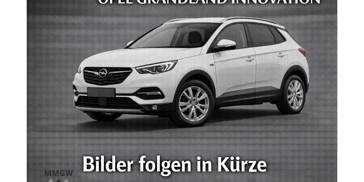 Opel Grandland (X) 120.417 km 12.990 &euro; Bensheim 64625