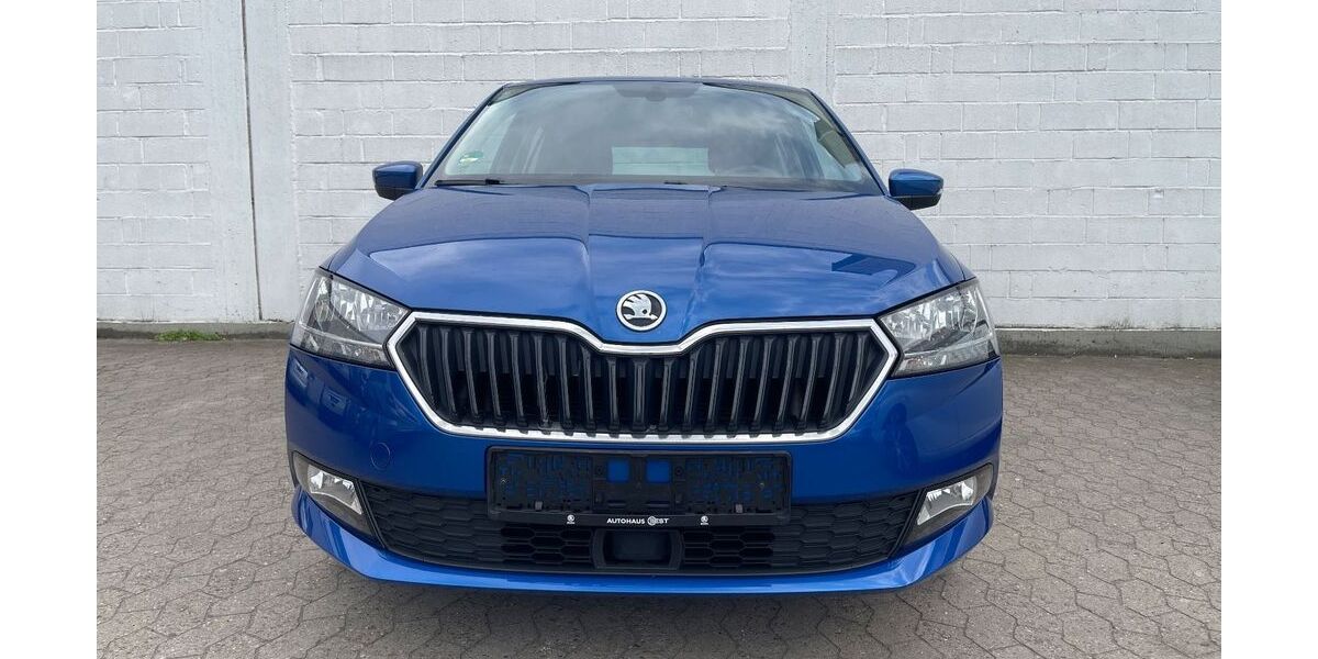 Skoda Fabia 107.500 km 10.500 &euro; Pfungstadt 64319