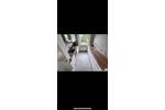 Etagenwohnung Bischofsheim - 3 Zimmer, 70 m&sup2;, 275.000&euro; | Angebot:26429761
