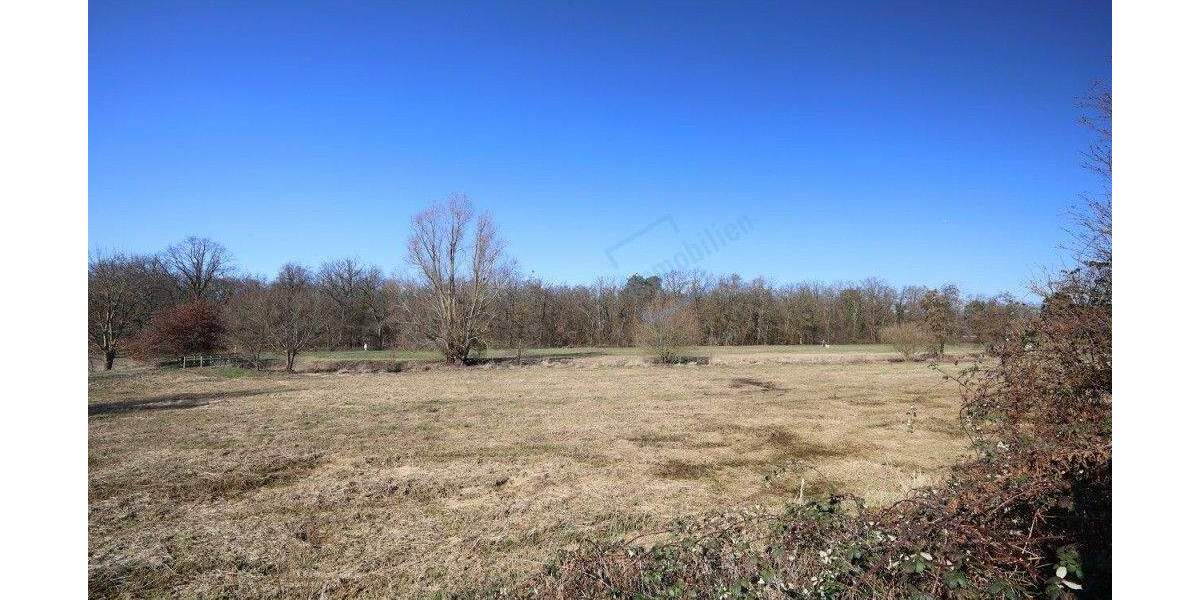 Mehrfamilienhaus, Wohnhaus Mörfelden-Walldorf Walldorf - 3 Zimmer, 130 m&sup2;, 595.000&euro; | Angebot:25524504