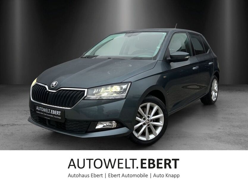 Skoda Fabia 47.500 km 15.690 € Bensheim 64625