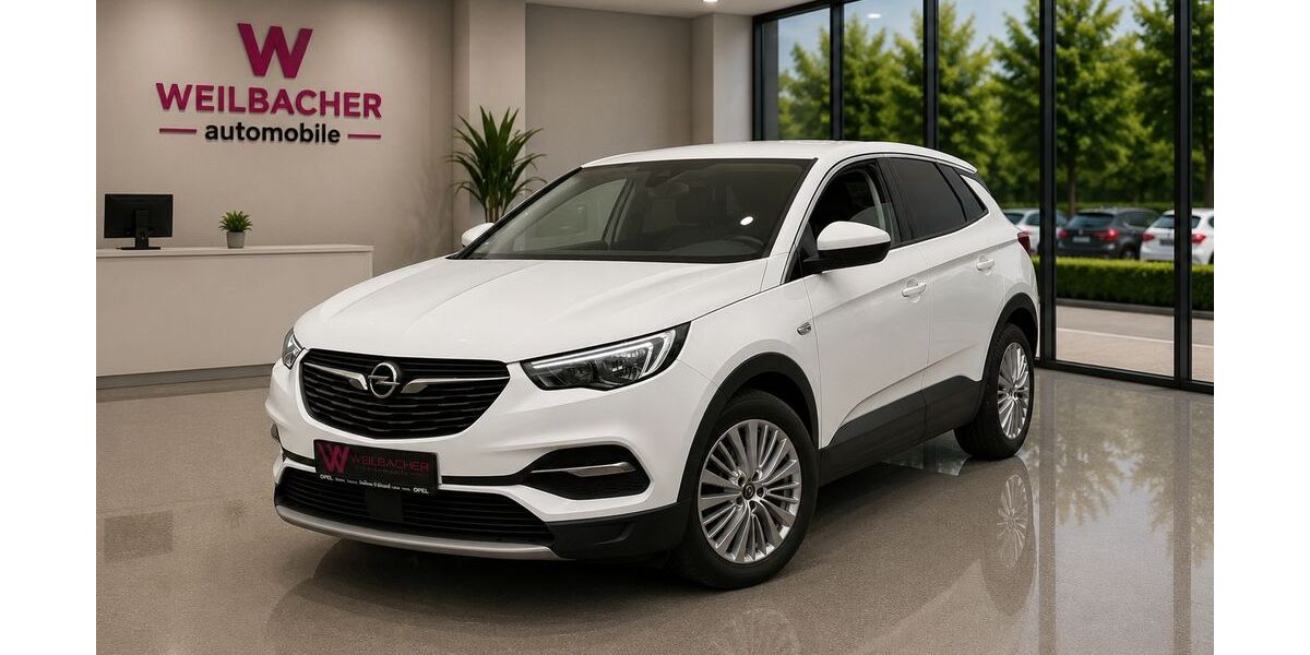 Opel Grandland (X) 120.000 km 13.590 &euro; Flörsheim 65439