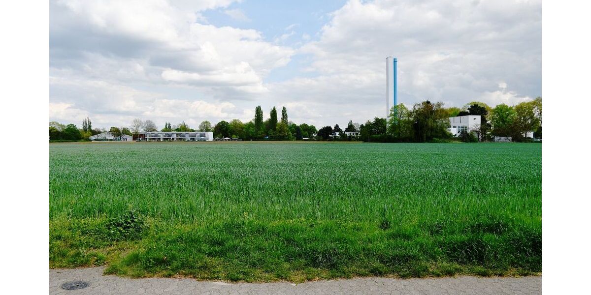 **RESERVIERT** Architektenbungalow + Einliegerwohnung + separate Büroeinheit in Feldrandlage von DA-Arheilgen - Bungalow Darmstadt-Arheilgen Darmstadt/Vororte | Angebot:26440066