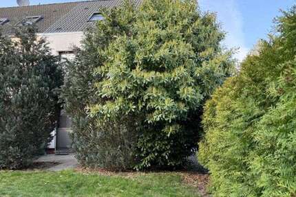 Haus Dietzenbach - 4 Zimmer, 150 m&sup2;, 1.980&euro; | Angebot:25922961