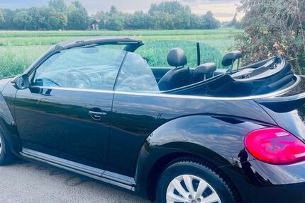 VW Beetle
