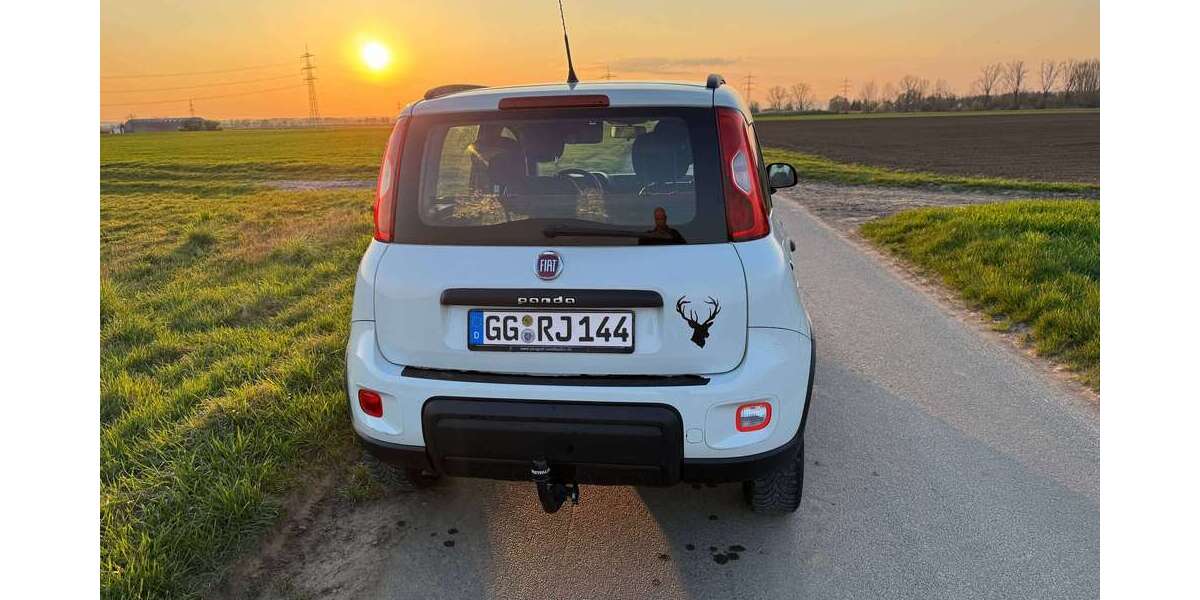 Fiat Panda 139.800 km 7.499 &euro; Groß-Gerau, Stadt 64521