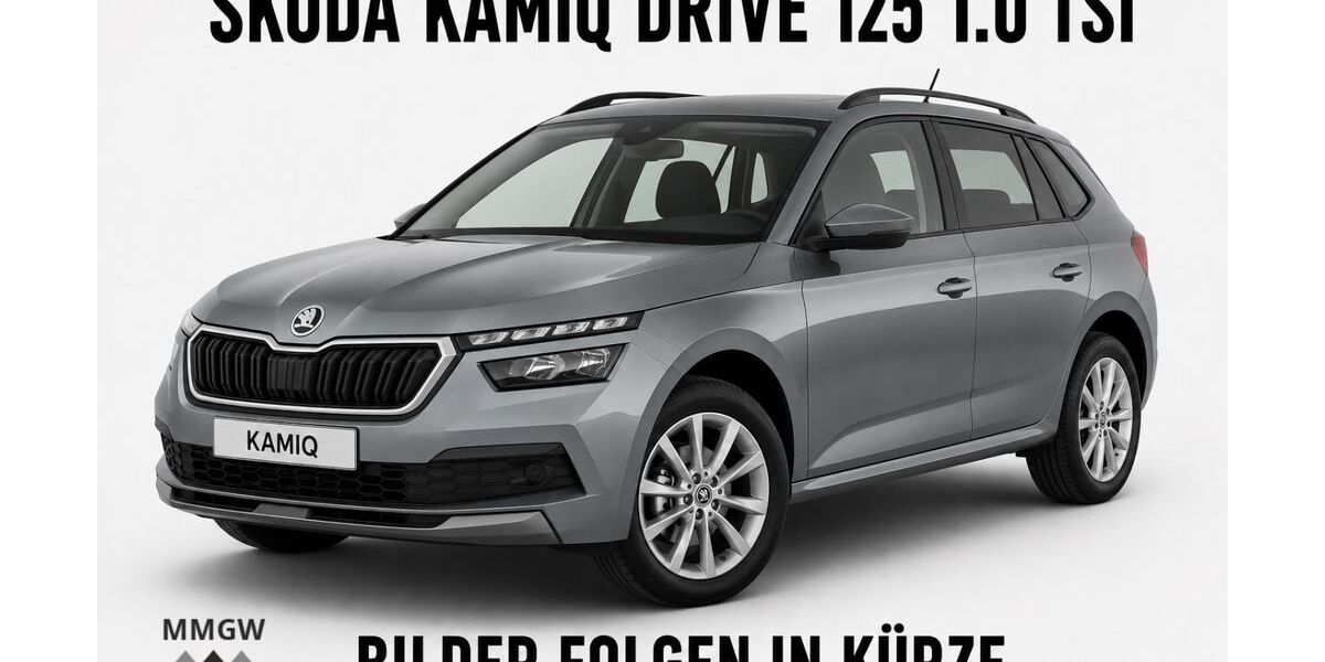Skoda Kamiq 81.050 km 15.990 &euro; Bensheim 64625