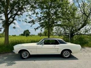 Ford Mustang 71.000 km 33.500 &euro; Ginsheim Gustavsburg 65462