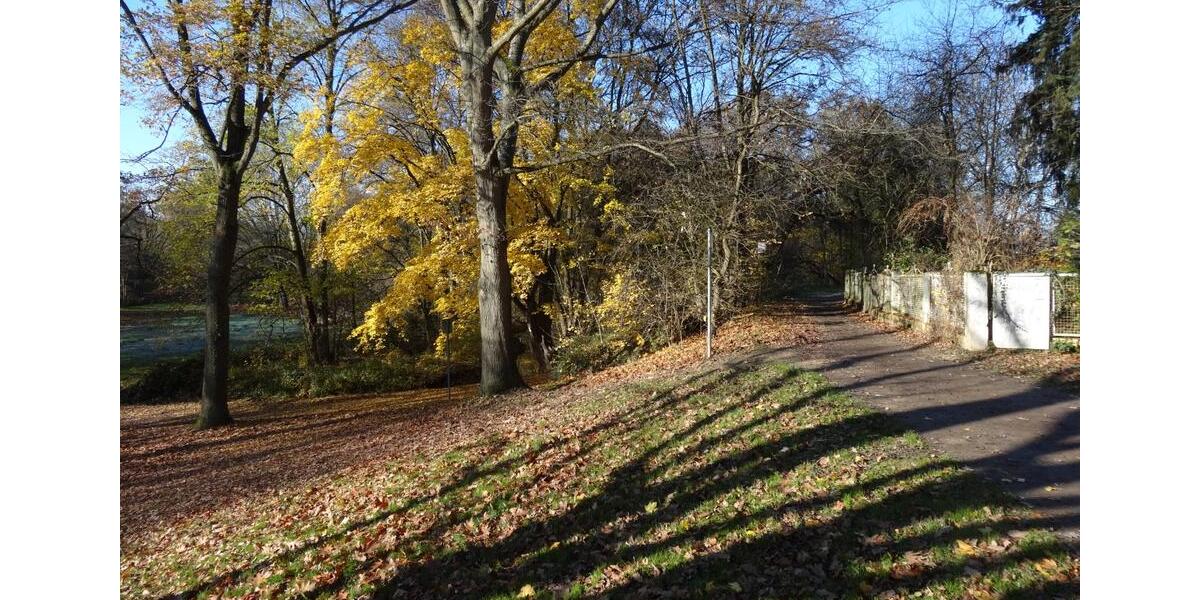 Einfamilienhaus Frankfurt am Main Sossenheim - 14 Zimmer, 320 m&sup2;, 1.850.000&euro; | Angebot:25642808