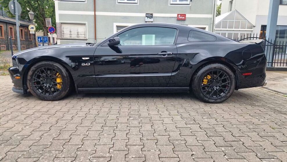 Mustang