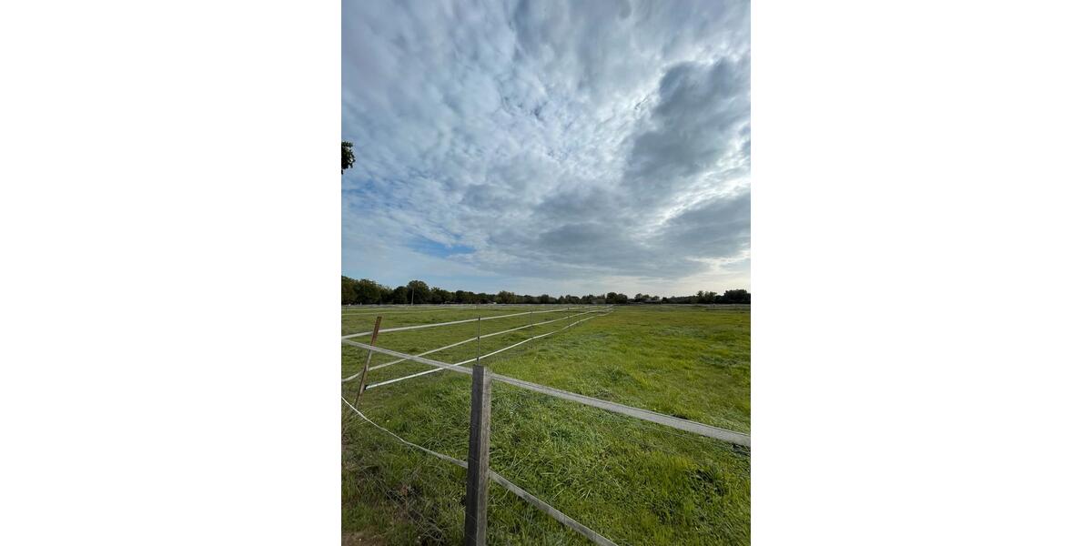 Einfamilienhaus Obertshausen - 3 Zimmer, 92 m&sup2;, 410.000&euro; | Angebot:25554095