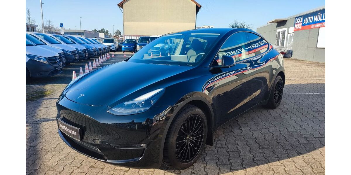 Tesla Model Y 35.900 km 39.980 &euro; Rüsselsheim 65428