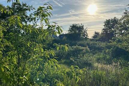 Grundstück Heusenstamm - 369.000&euro; | Angebot:25801847