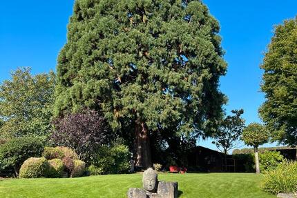 Haus mit Garten zimmer