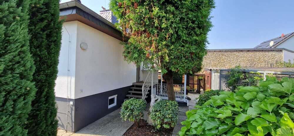 Einzigartige Gelegenheit: Etablierte Katzenpension mit 310 m² überdachtem Außenbereich und Bungalow - Gewerbeobjekt Rüsselsheim am Main | Angebot:24213461