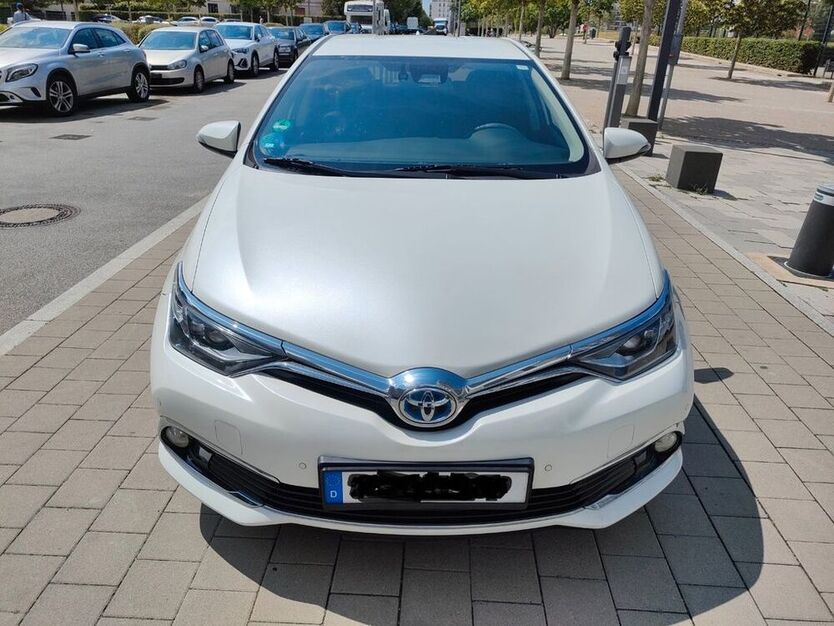 Auris