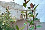 Terrassenwohnung Neu-Isenburg Isenburg - 2.5 Zimmer, 65 m&sup2;, 1.250&euro; | Angebot:26356225