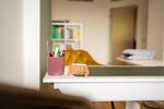 Gewerbeobjekt Seligenstadt - 920&euro; | Angebot:26498145