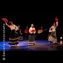 Mi Mundo Flamenco - Flamenco Wiesbaden