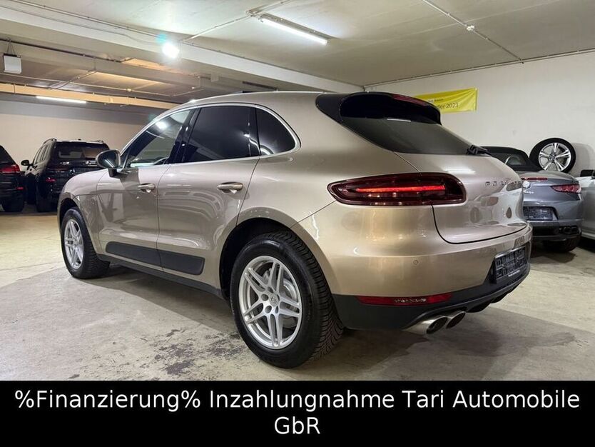 Macan