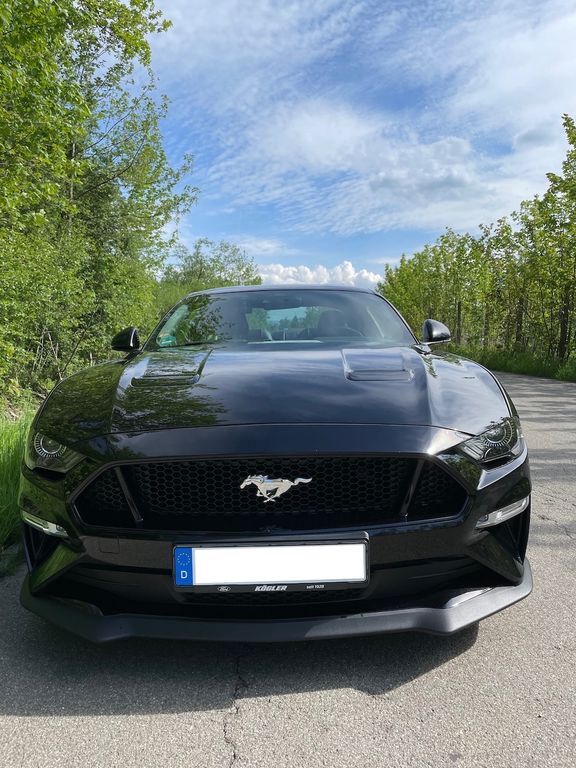 Mustang