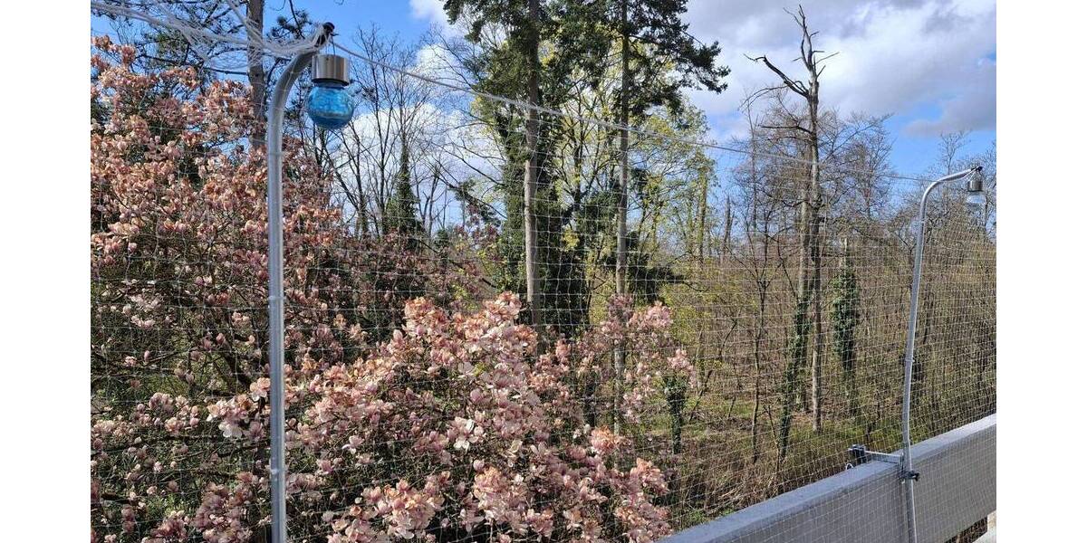 Etagenwohnung Darmstadt Eberstadt - 2 Zimmer, 74 m&sup2;, 279.000&euro; | Angebot:26502705