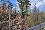 Etagenwohnung Darmstadt Eberstadt - 2 Zimmer, 74 m&sup2;, 279.000&euro; | Angebot:26502705