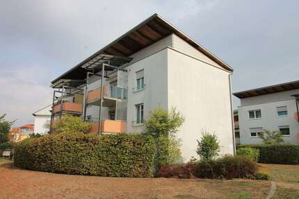 Wohnung zum Mieten in Bischofsheim 613,78 € 60.77 m² 2 zimmer