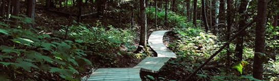 Felsenmeer Lautertal