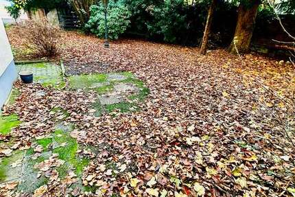 Wohnung Frankfurt Bornheim - 4 Zimmer, 80 m&sup2;, 499.000&euro; | Angebot:24634321