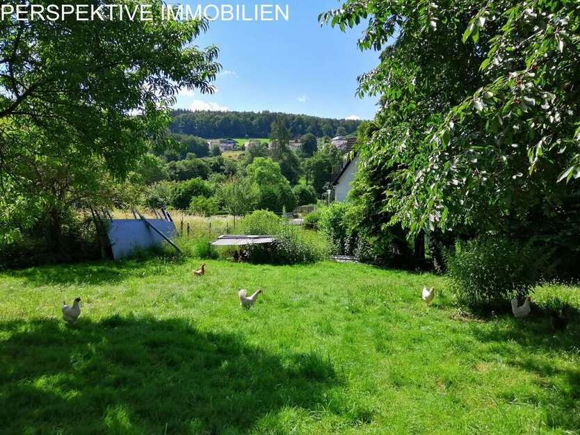 Grundstück zu verkaufen in Bad König 127.000 € 537 m²