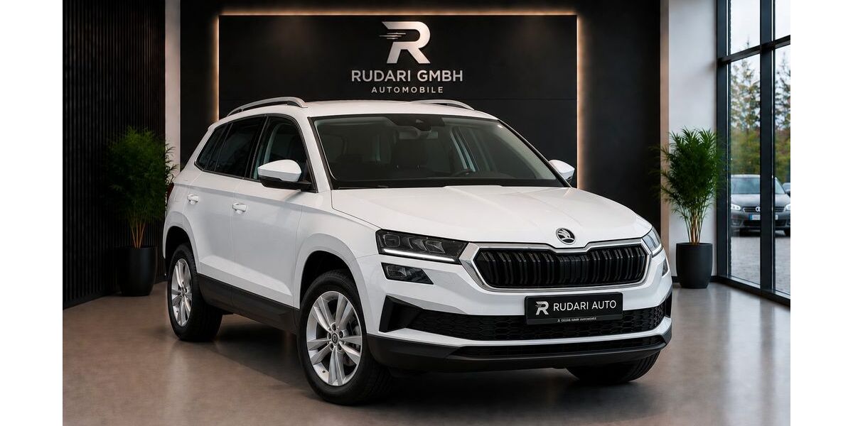 Skoda Karoq 154.136 km 19.950 &euro; Frankfurt am Main 60386