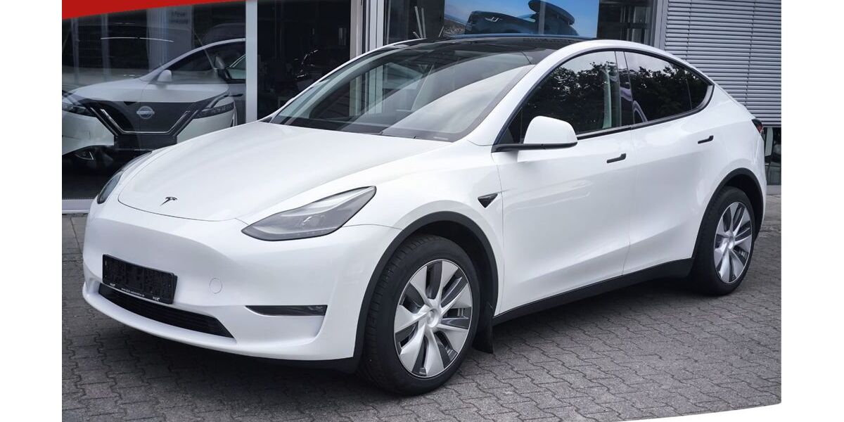 Tesla Model Y 90.000 km 32.450 &euro; Dieburg 64807