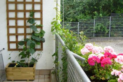 Schöne 2-Zimmer Wohnung in Reinheim 2 zimmer