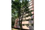 Etagenwohnung Frankfurt am Main Bonames - 4 Zimmer, 93 m&sup2;, 1.050&euro; | Angebot:26017640