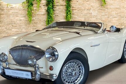 Austin Healey Andere 20.000 km 72.444 € Mainz-Hechtsheim 55129