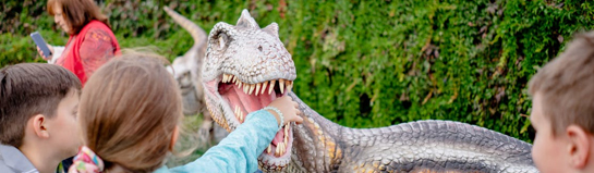 Erlebnispark Steinau