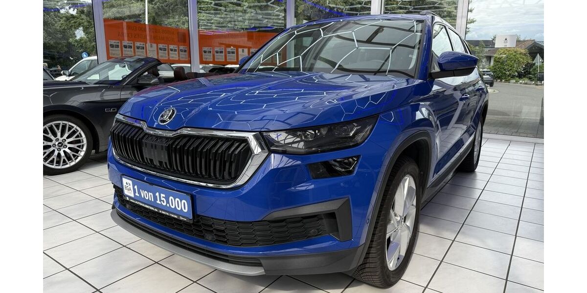 Skoda Kodiaq 110.850 km 23.990 &euro; Groß-Umstadt 64823