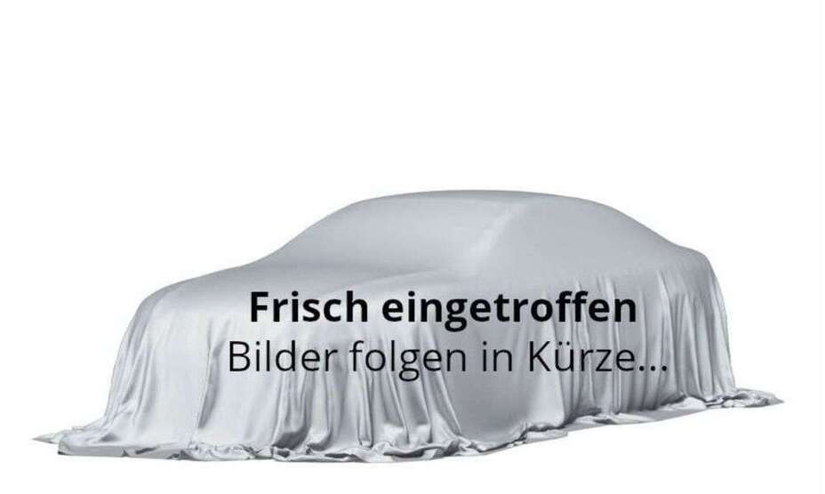 Auris