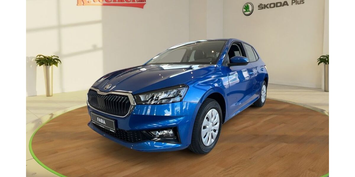Skoda Fabia 3.970 km 27.900 &euro; Weiterstadt 64331