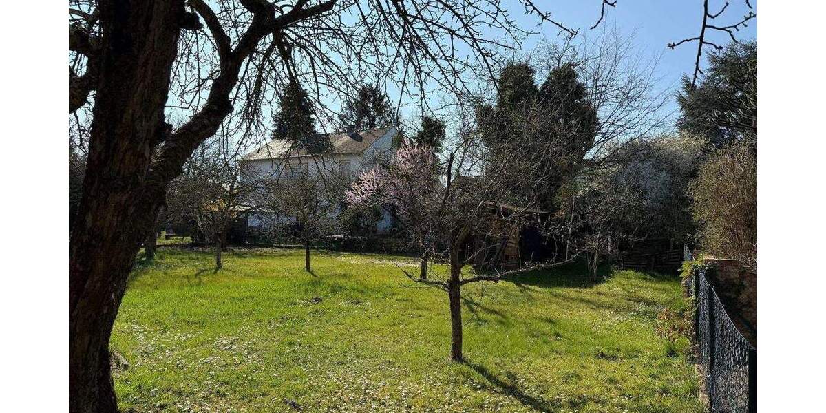 Bungalow mit großem Grundstück zimmer