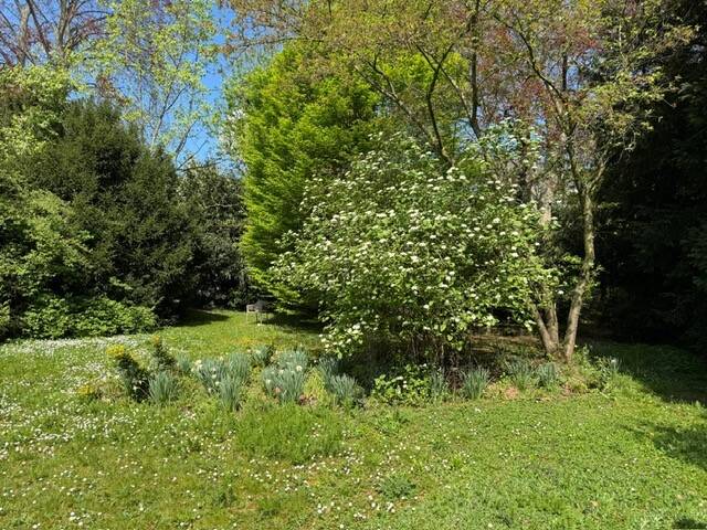 Filet-Grundstück in bester Lage - Diplomatenviertel zimmer