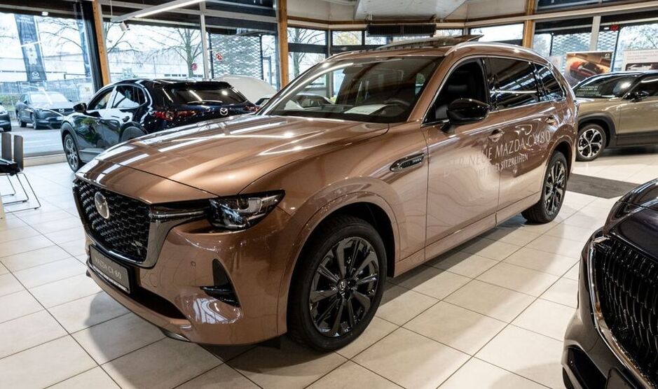CX-80