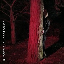 Nosferatus Auferstehung 31.10.2025 U-Bahn-Haltestelle Niddapark, Treppe nach unten