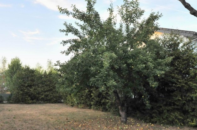 EFH mit großem Grundstück bei Darmstadt 7 zimmer