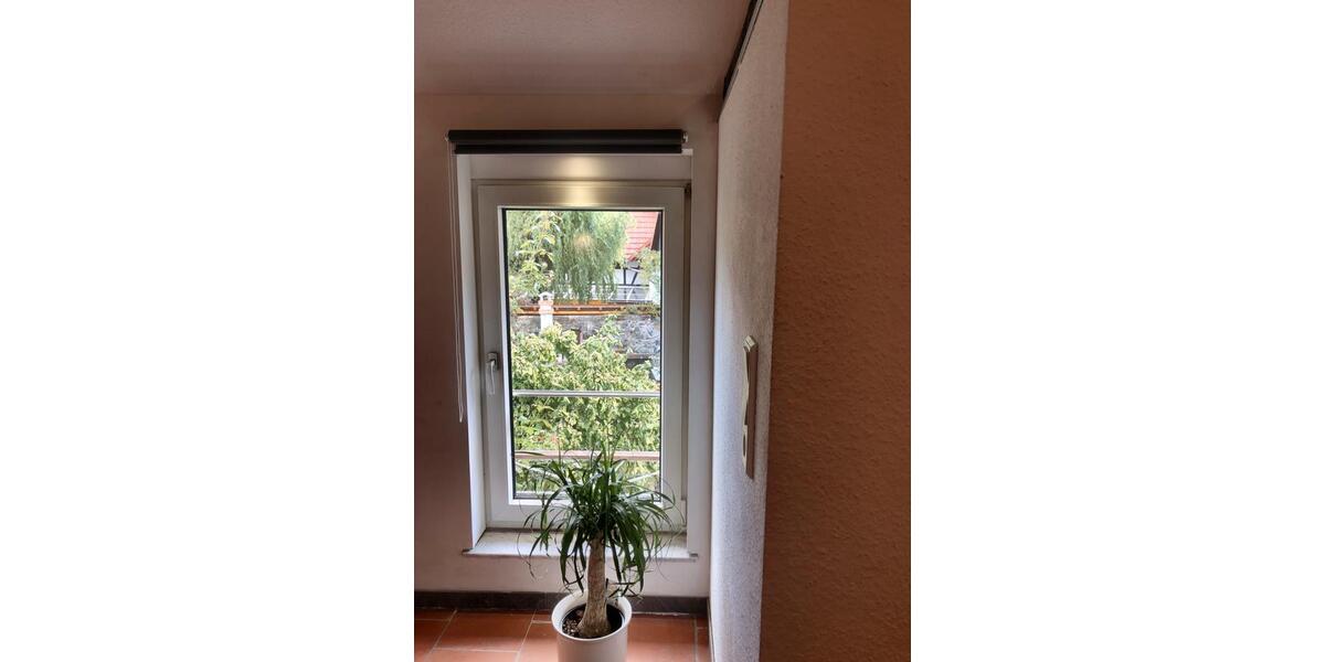 Etagenwohnung Roßdorf - 2 Zimmer, 43 m&sup2;, 800&euro; | Angebot:26309864
