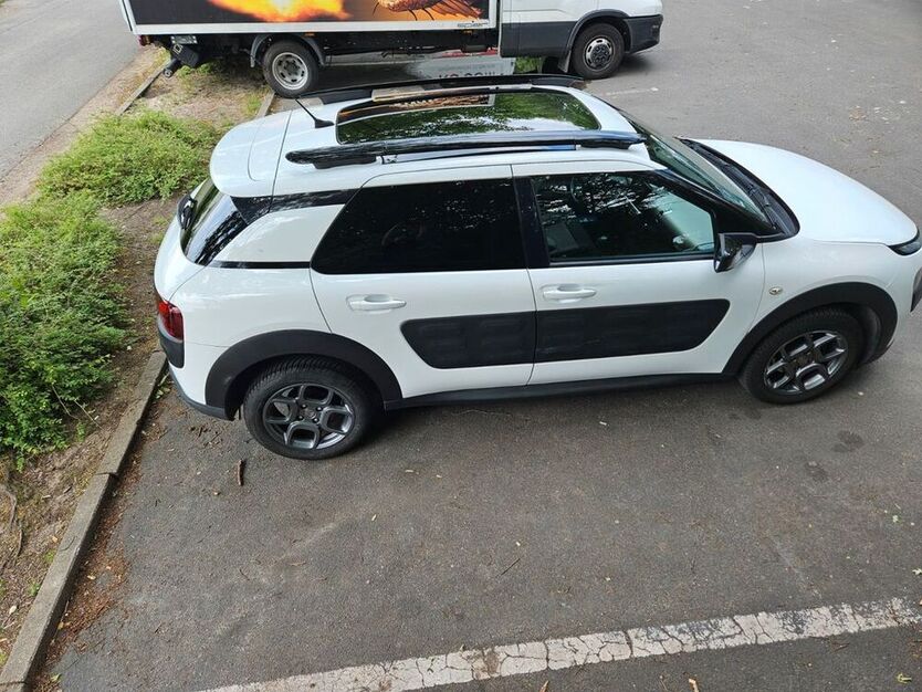 C4 Cactus